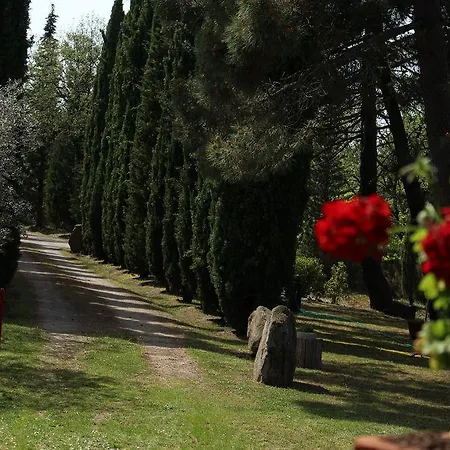 别墅 L'antica Pala